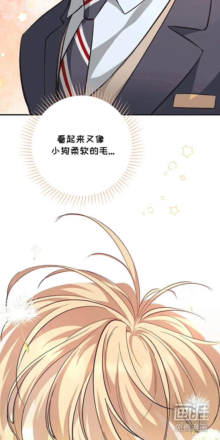 蒲公英观察日 第3章：真好看 第16页