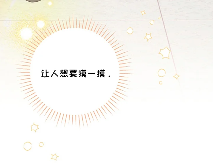 蒲公英观察日 第3章：真好看 第18页