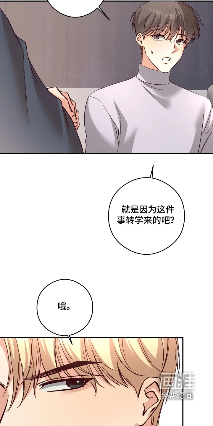 蒲公英观察日 第83章：该怎么做 第13页