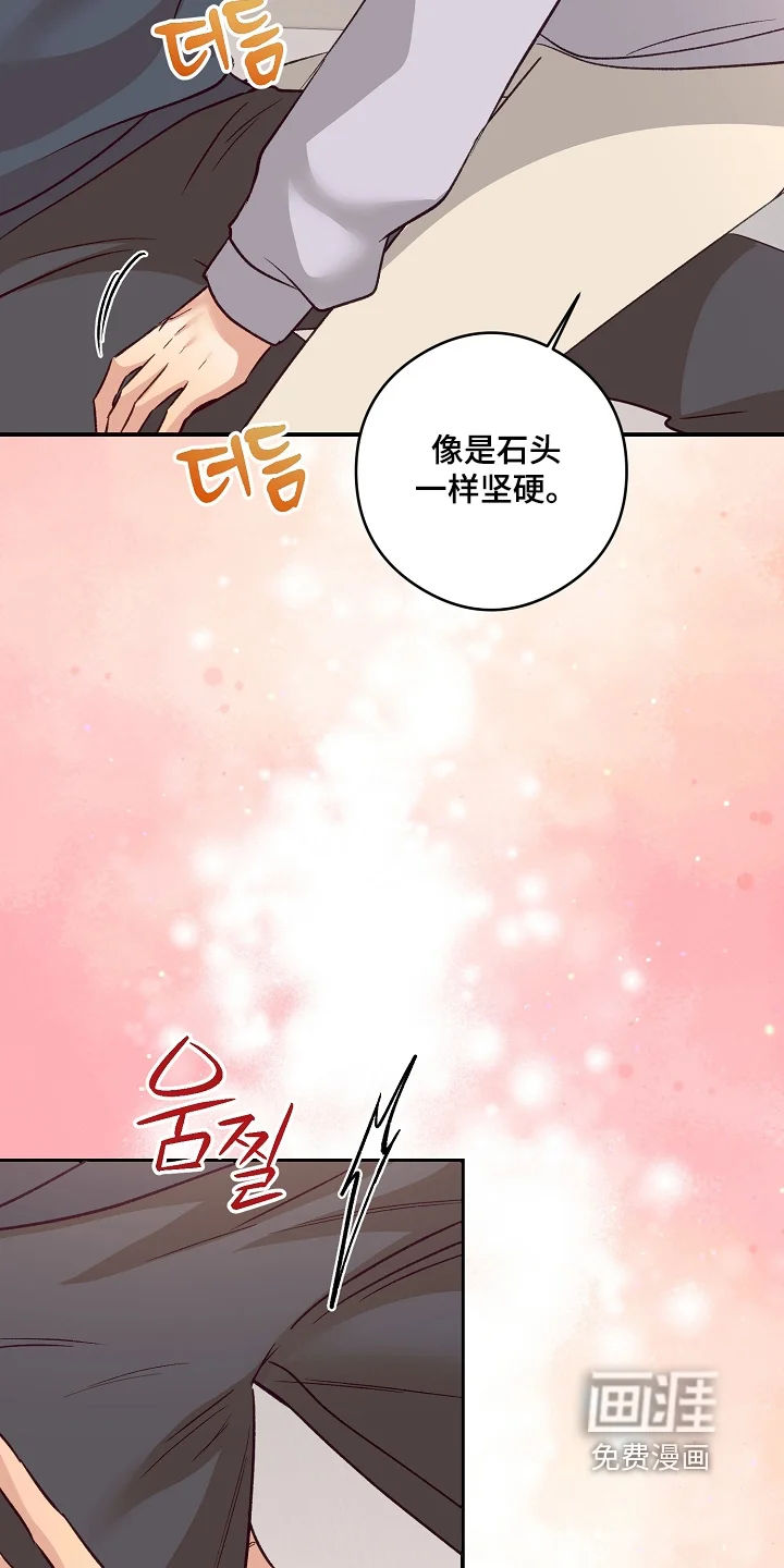 蒲公英观察日 第85章：快看那边 第5页