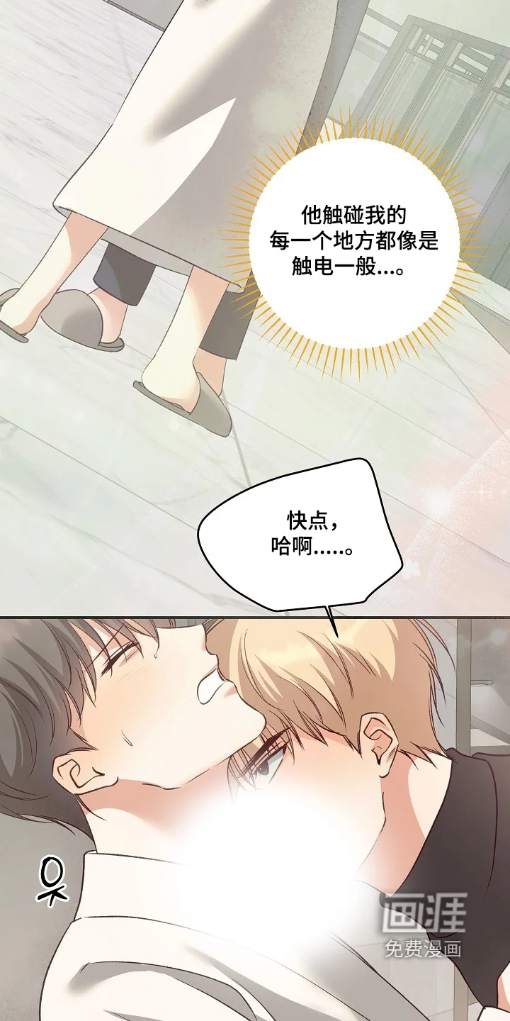 蒲公英观察日 第89章：怎么醒了 第19页