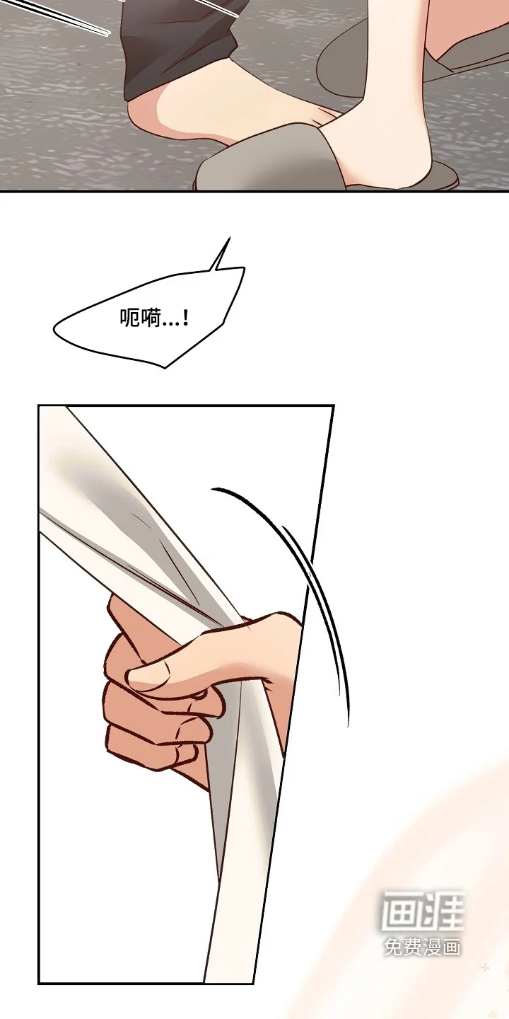 蒲公英观察日 第89章：怎么醒了 第26页