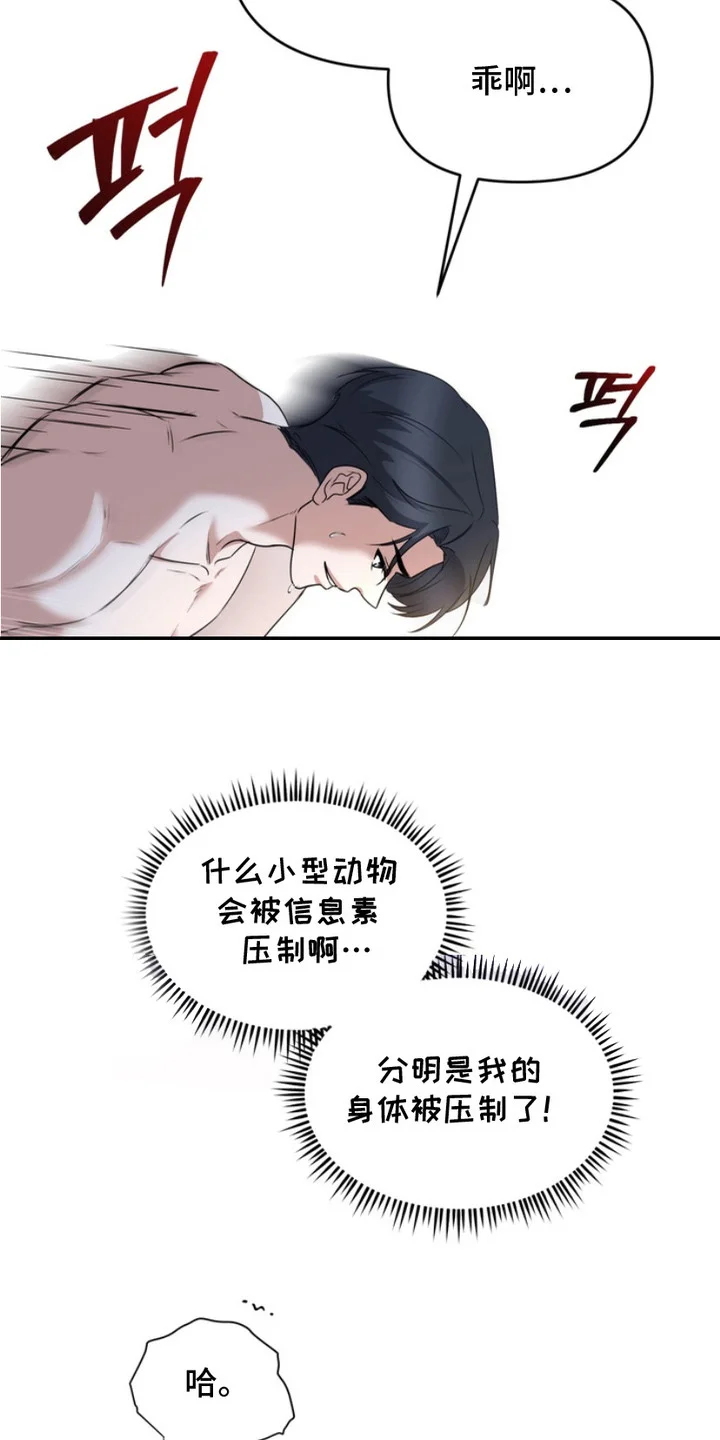 虎落兔口 第5章：拜托你了 第16页