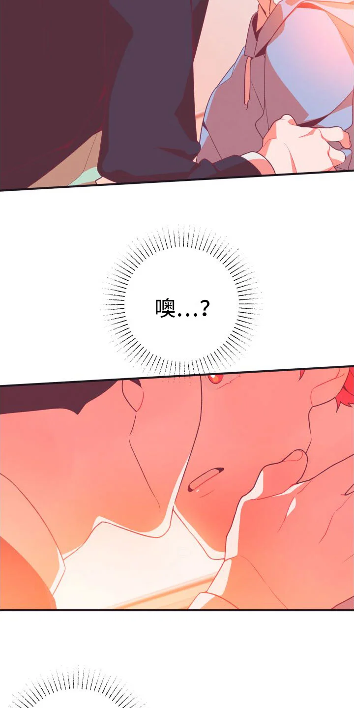 蜜桃粉碎 第2章：恶心的同志 第16页