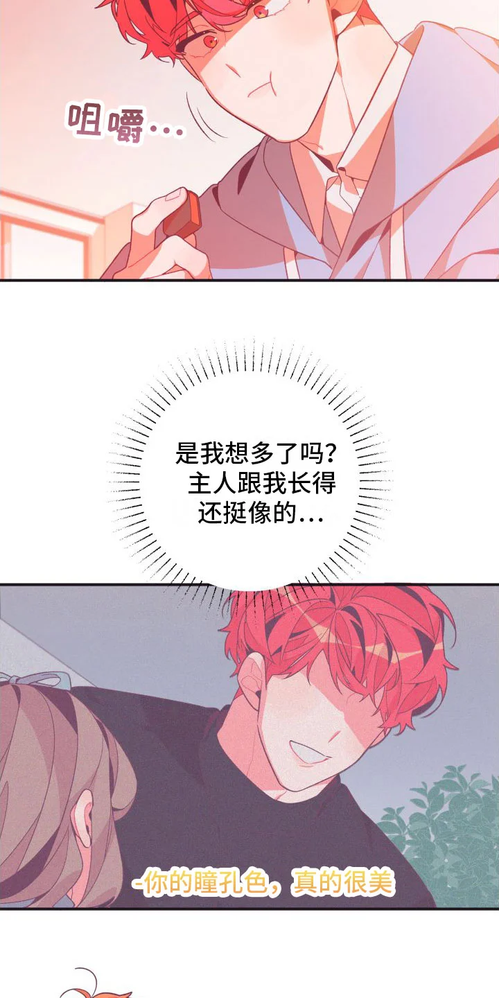 蜜桃粉碎 第2章：恶心的同志 第8页