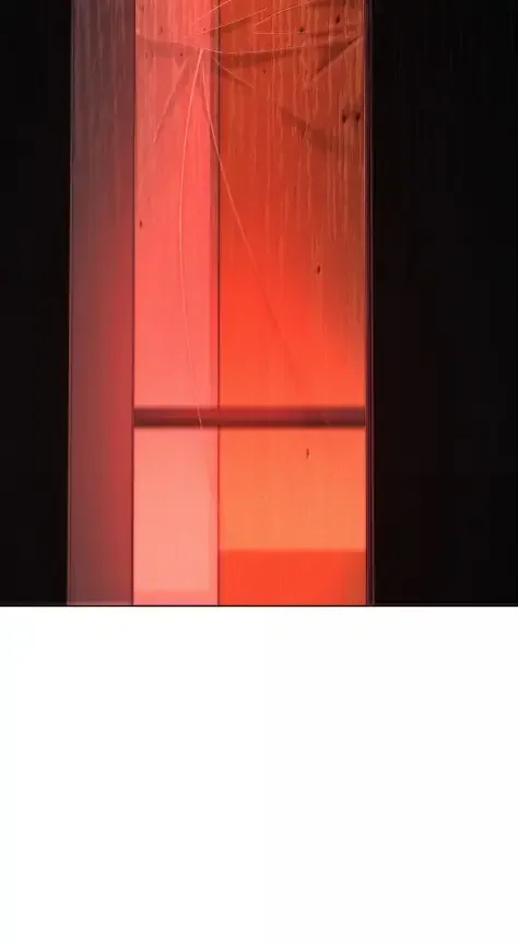 被敌方大佬盯上后 61 召开会议 第68页