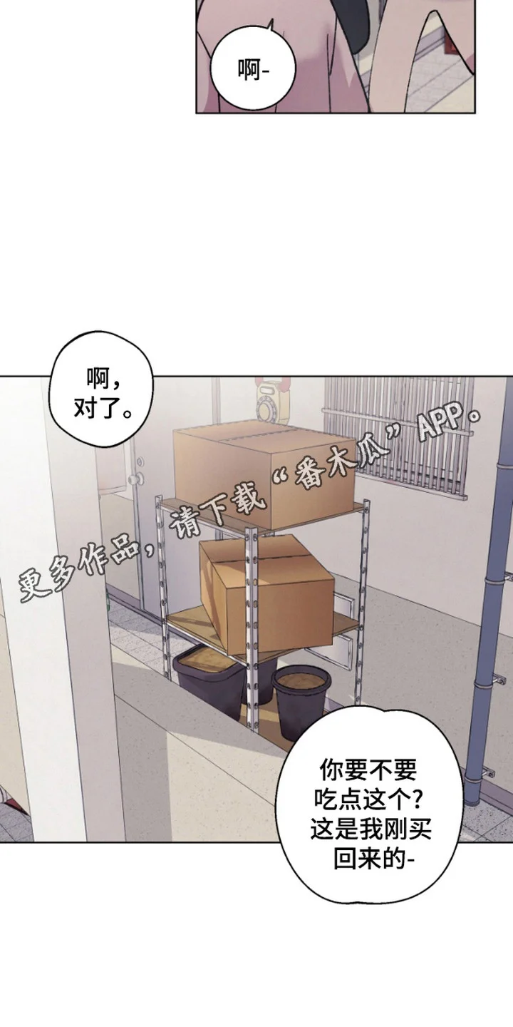 被蛛网困住的鸟 第2章：一起吃饭 第5页