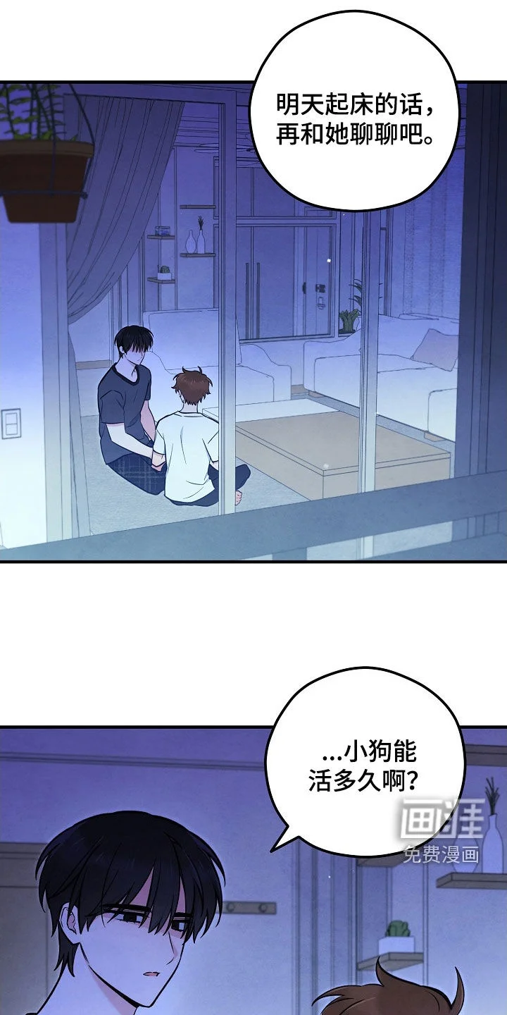 见习驱魔师 第77章：生命短暂 第38页