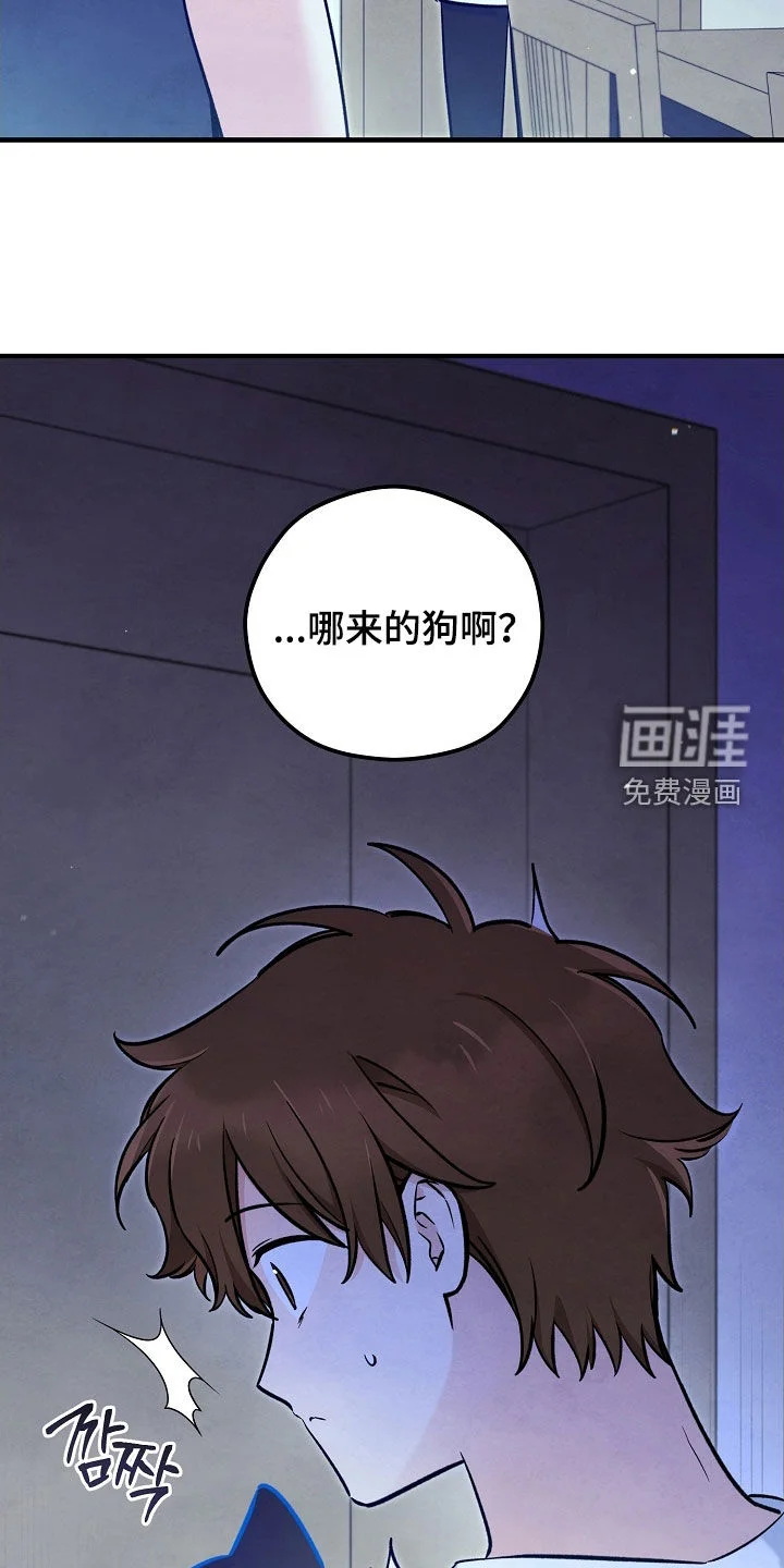 见习驱魔师 第77章：生命短暂 第15页