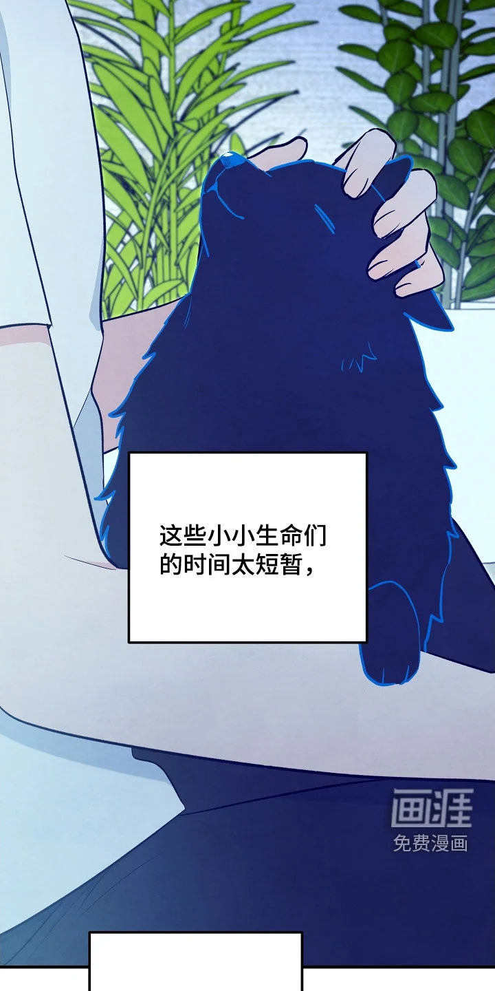见习驱魔师 第77章：生命短暂 第41页