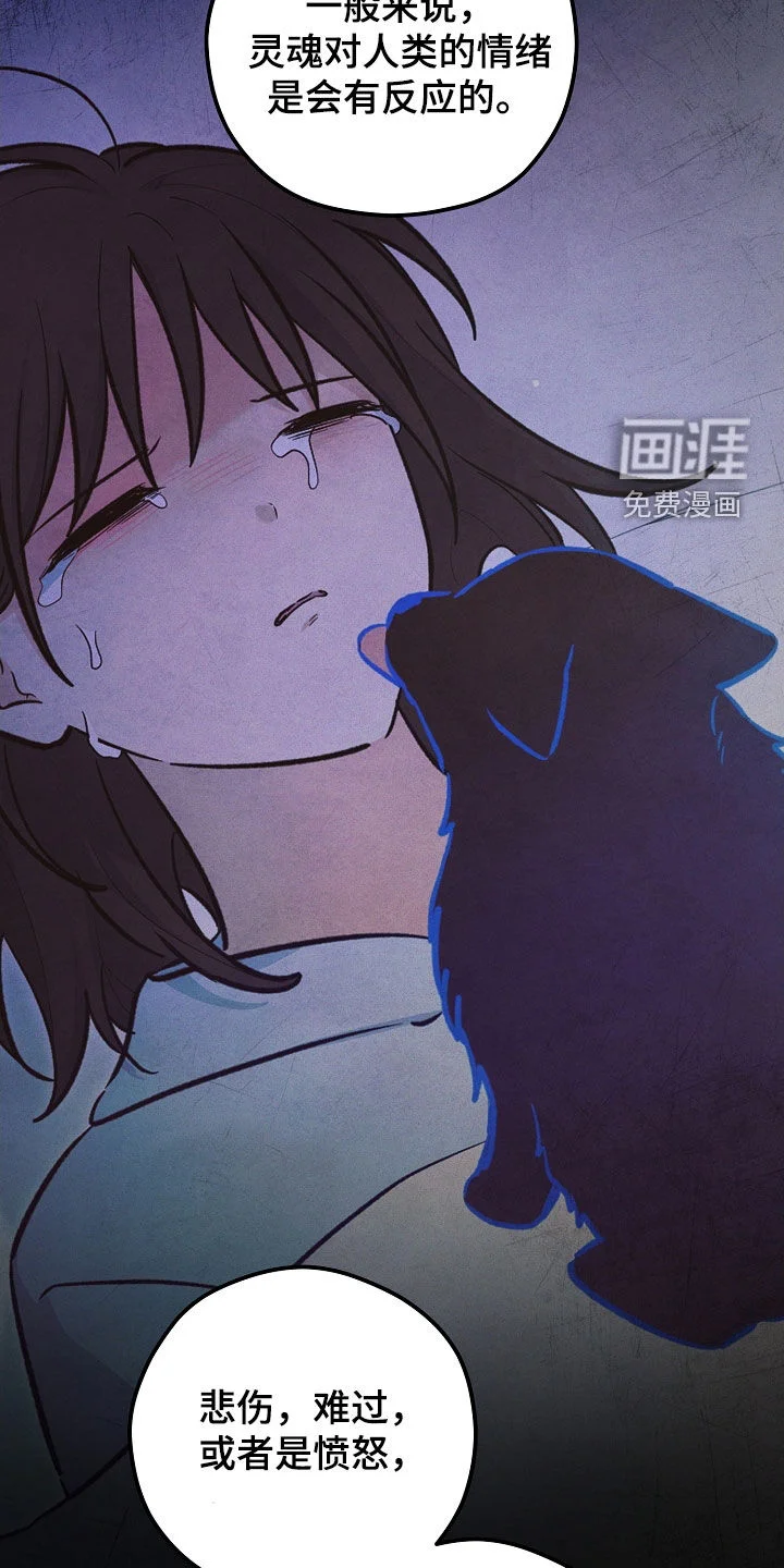 见习驱魔师 第77章：生命短暂 第28页