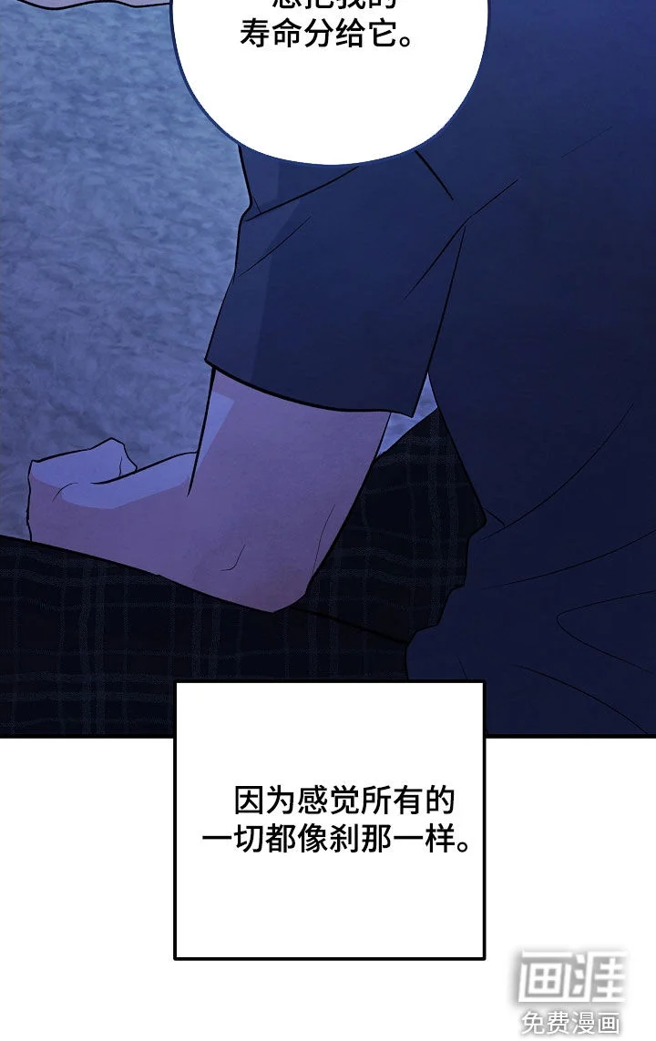 见习驱魔师 第77章：生命短暂 第44页