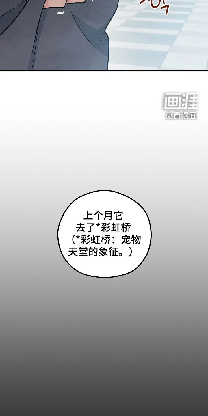 见习驱魔师 第78章：我相信 第42页