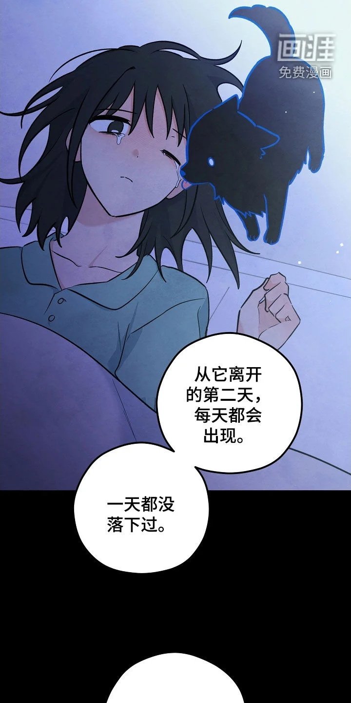 见习驱魔师 第79章：悲伤 第2页