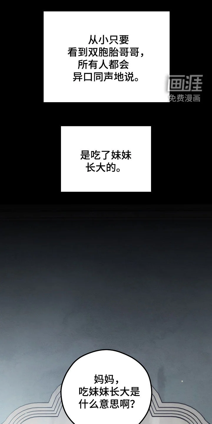 见习驱魔师 第90章：双胞胎兄妹 第17页