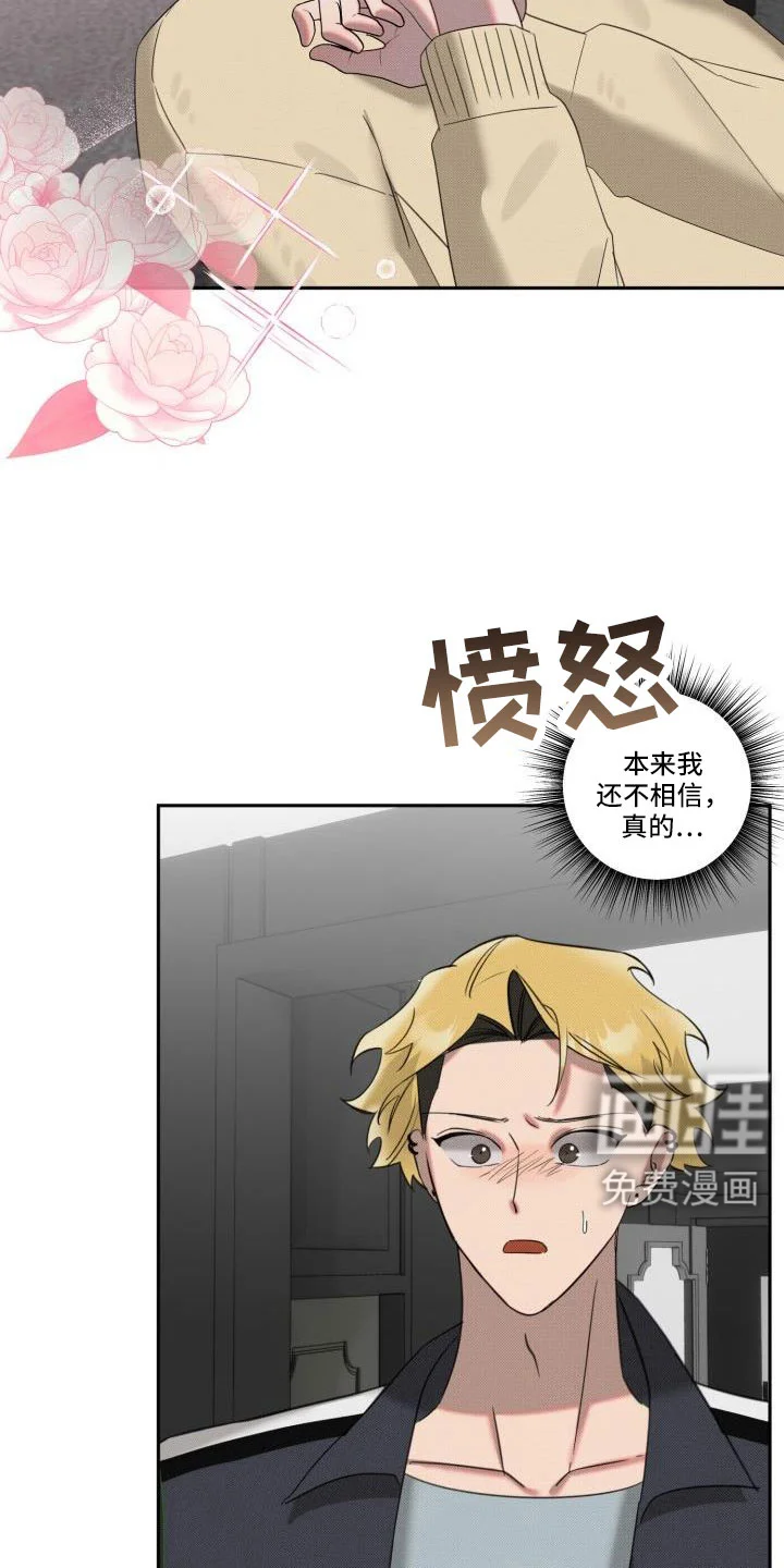 该死的条约 第22章：【番外】再也忍不住了 第15页