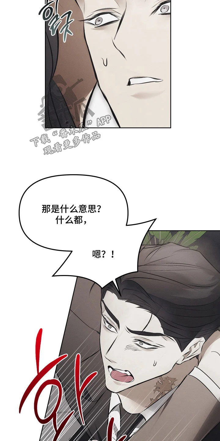 逆命欧米伽 第44章：任何关系都不是 第13页