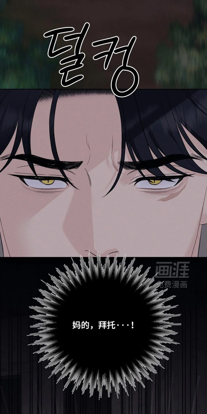 野兽的摇篮 第101章：【番外】真漂亮 第8页