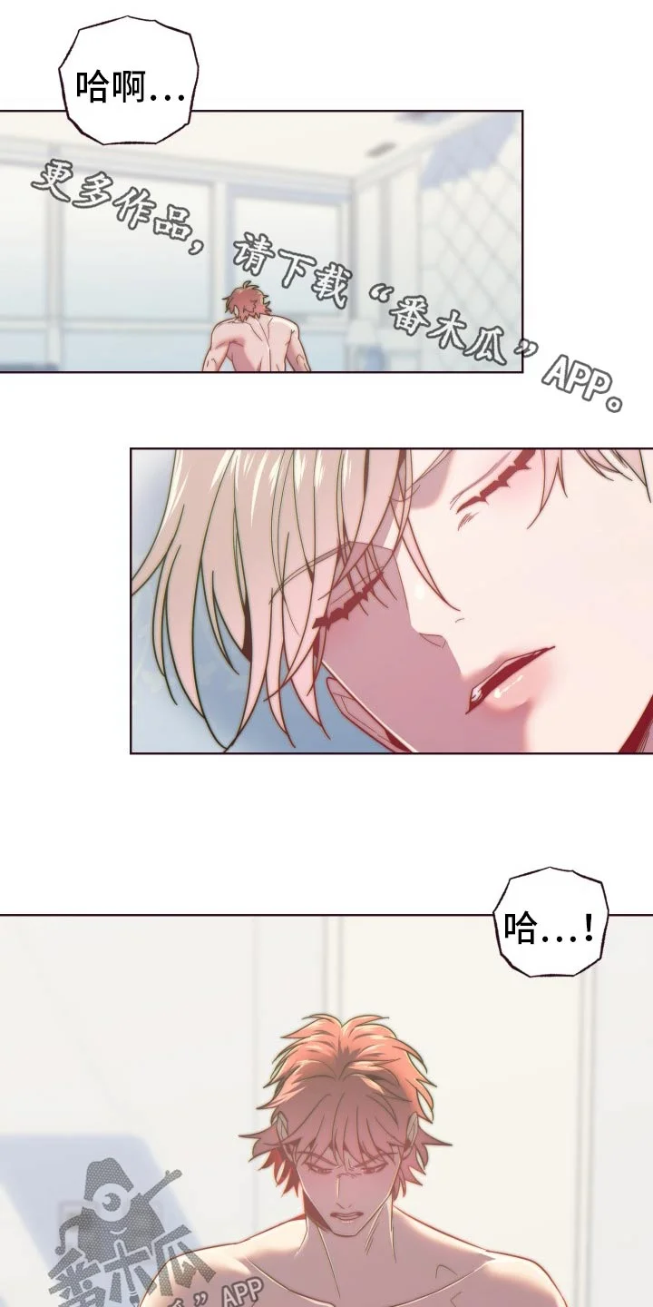 闭环 第91章：出去 第1页