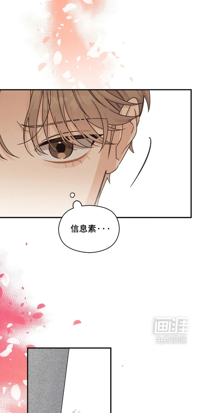 阿尔法创伤 第91章：【第二季】去吹吹风吧 第15页