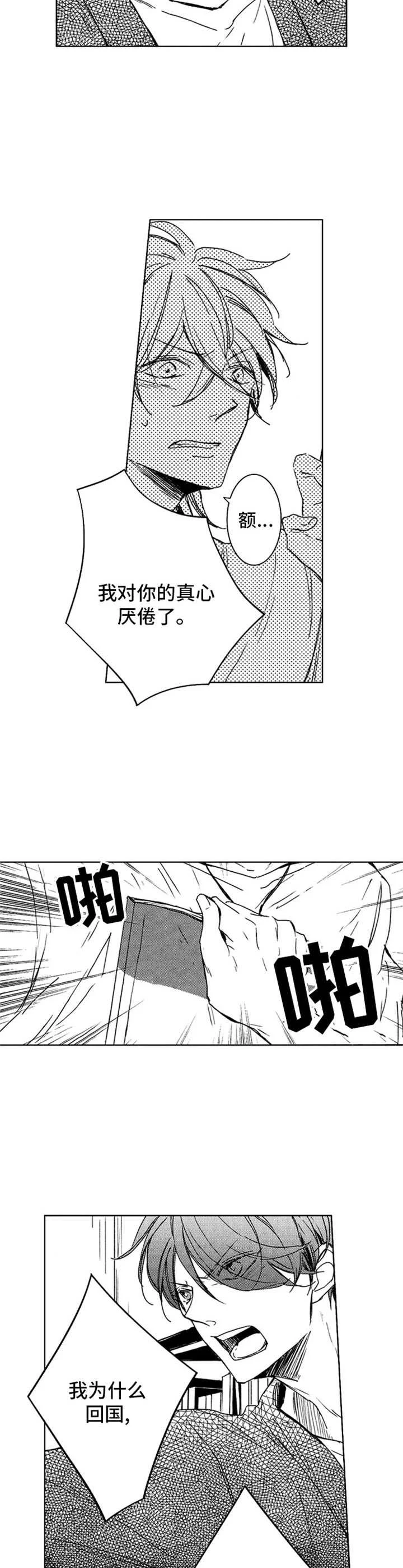 随风奔跑 第27章：解释 第2页