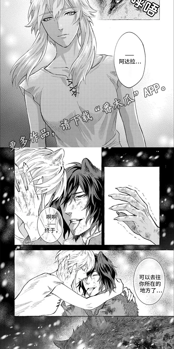 雪豹谜影 第14章：感染 第6页