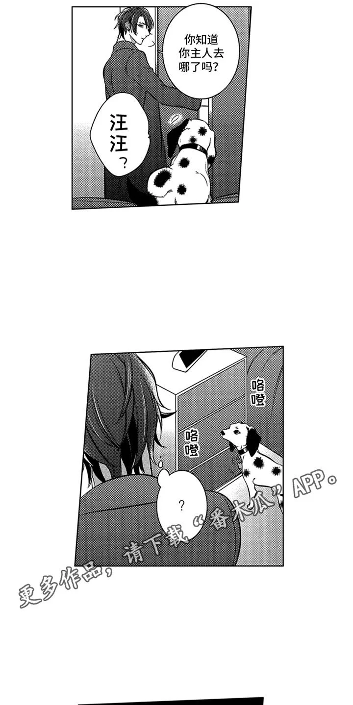顶级模特 第17章：寻找 第6页