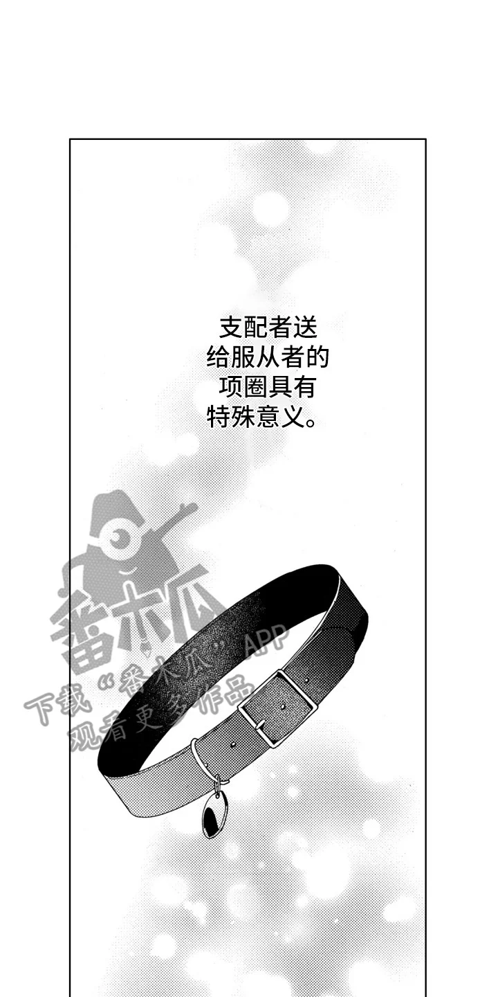 驯服指令 第20章：项圈 第2页