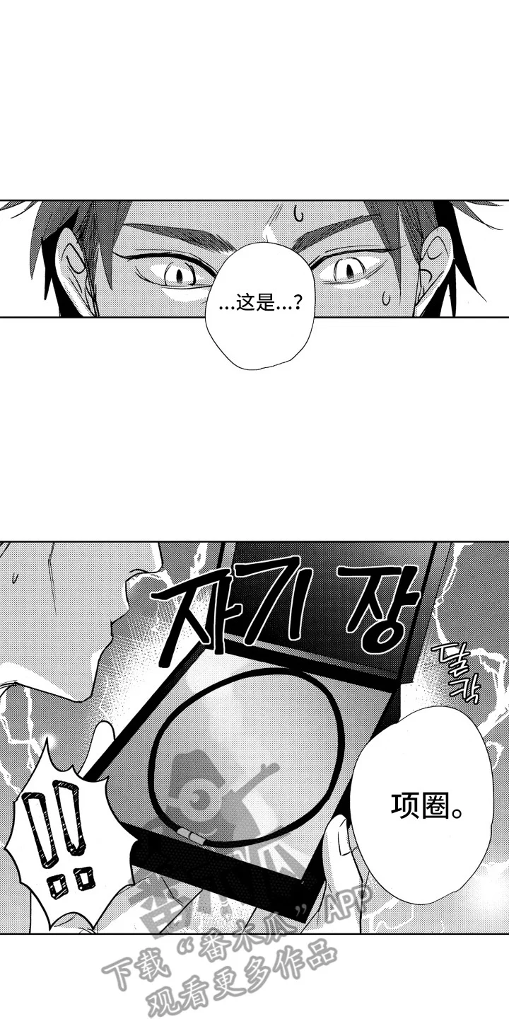 驯服指令 第20章：项圈 第8页