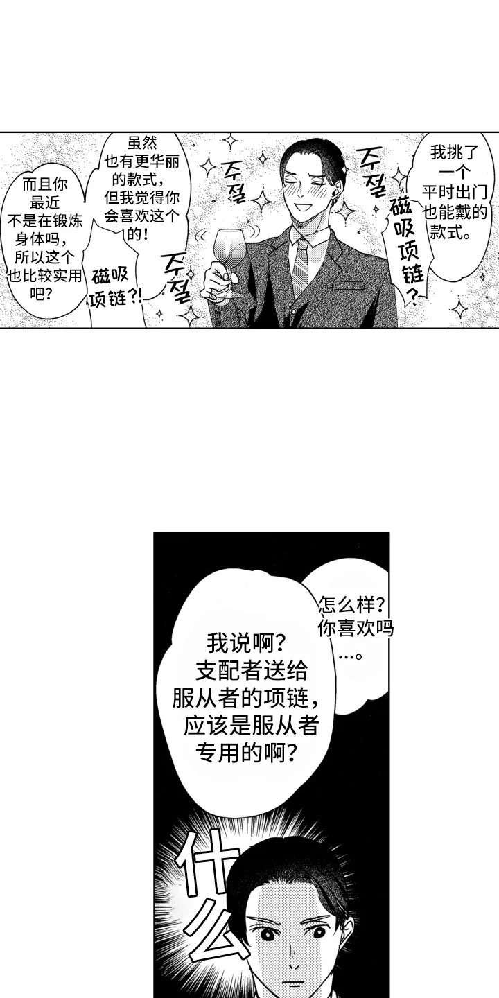 驯服指令 第20章：项圈 第9页