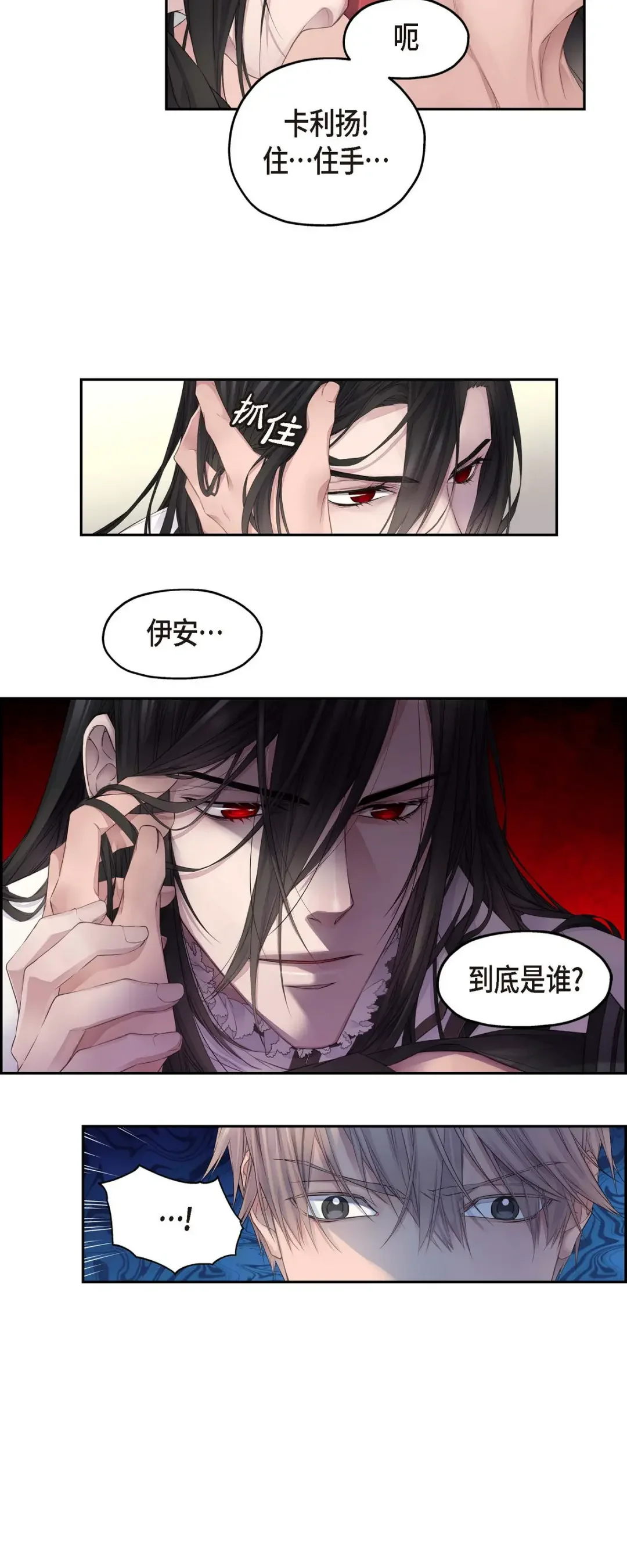 骑士的梦无法成真 4 皇帝的梦 第25页