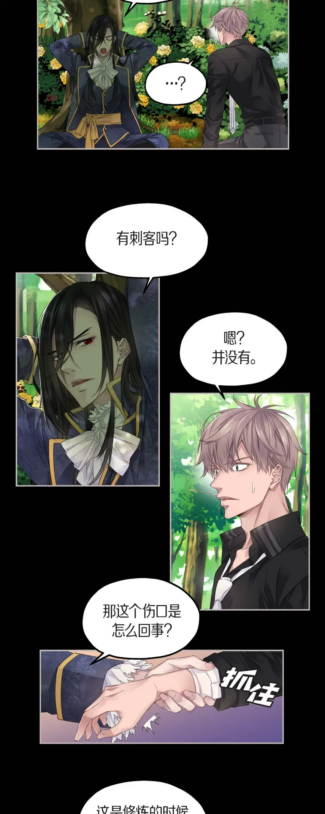 骑士的梦无法成真 8 罗宾哥 第16页