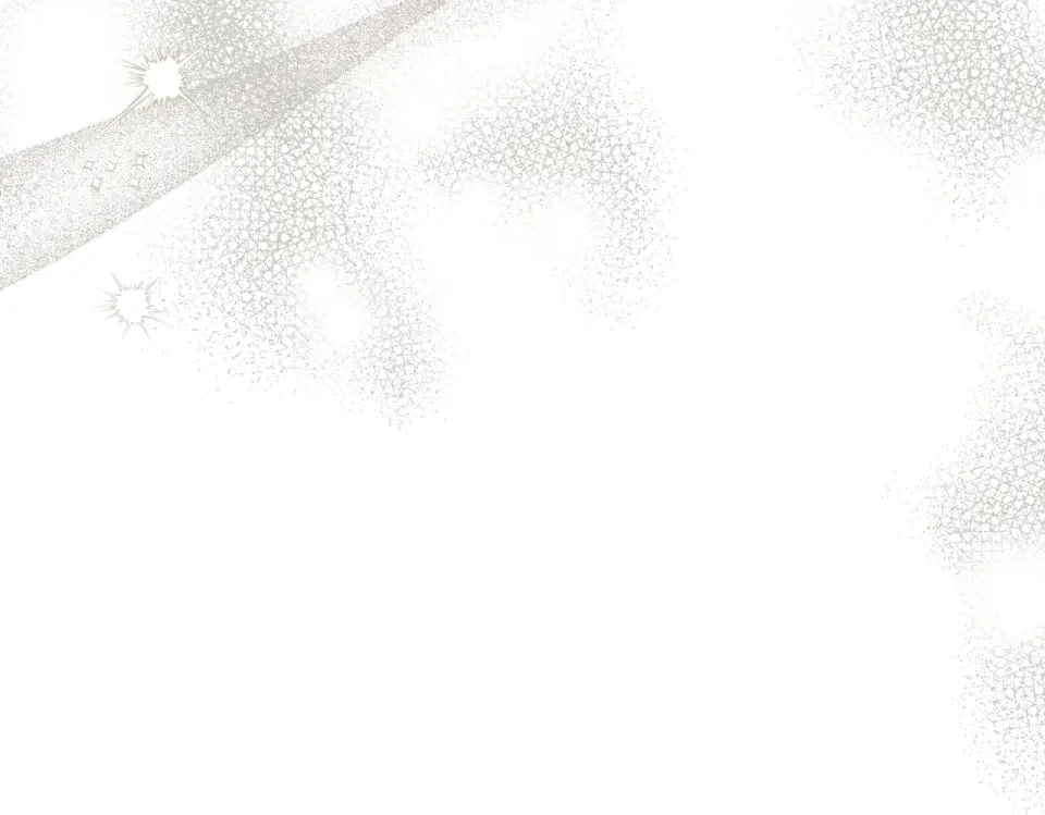 魔女的女儿解开了男主的诅咒 第66话 意外事故 第187页