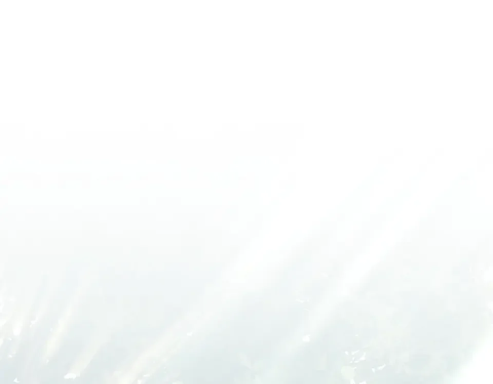 魔女的女儿解开了男主的诅咒 第68话 请你留下 第1页