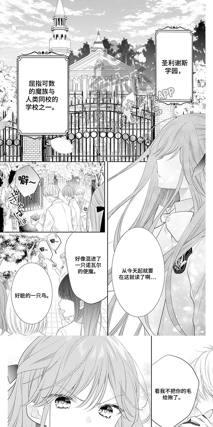 魔王子的宠爱 第1章：绝世恶女 第1页