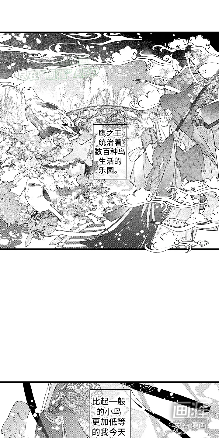 鹰王宠溺 第1章：皇妃 第1页