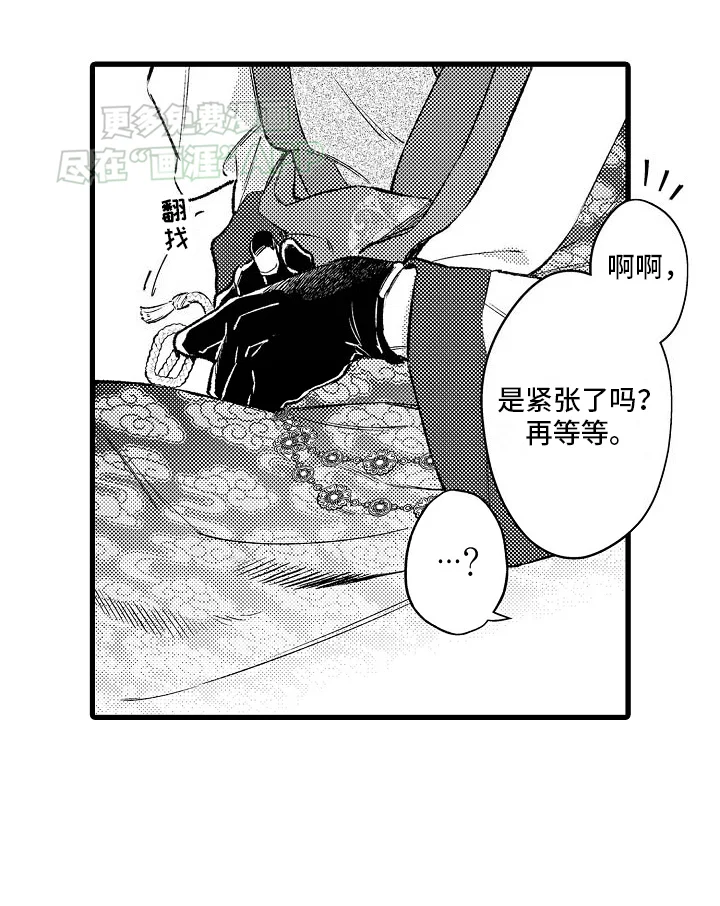 鹰王宠溺 第1章：皇妃 第17页