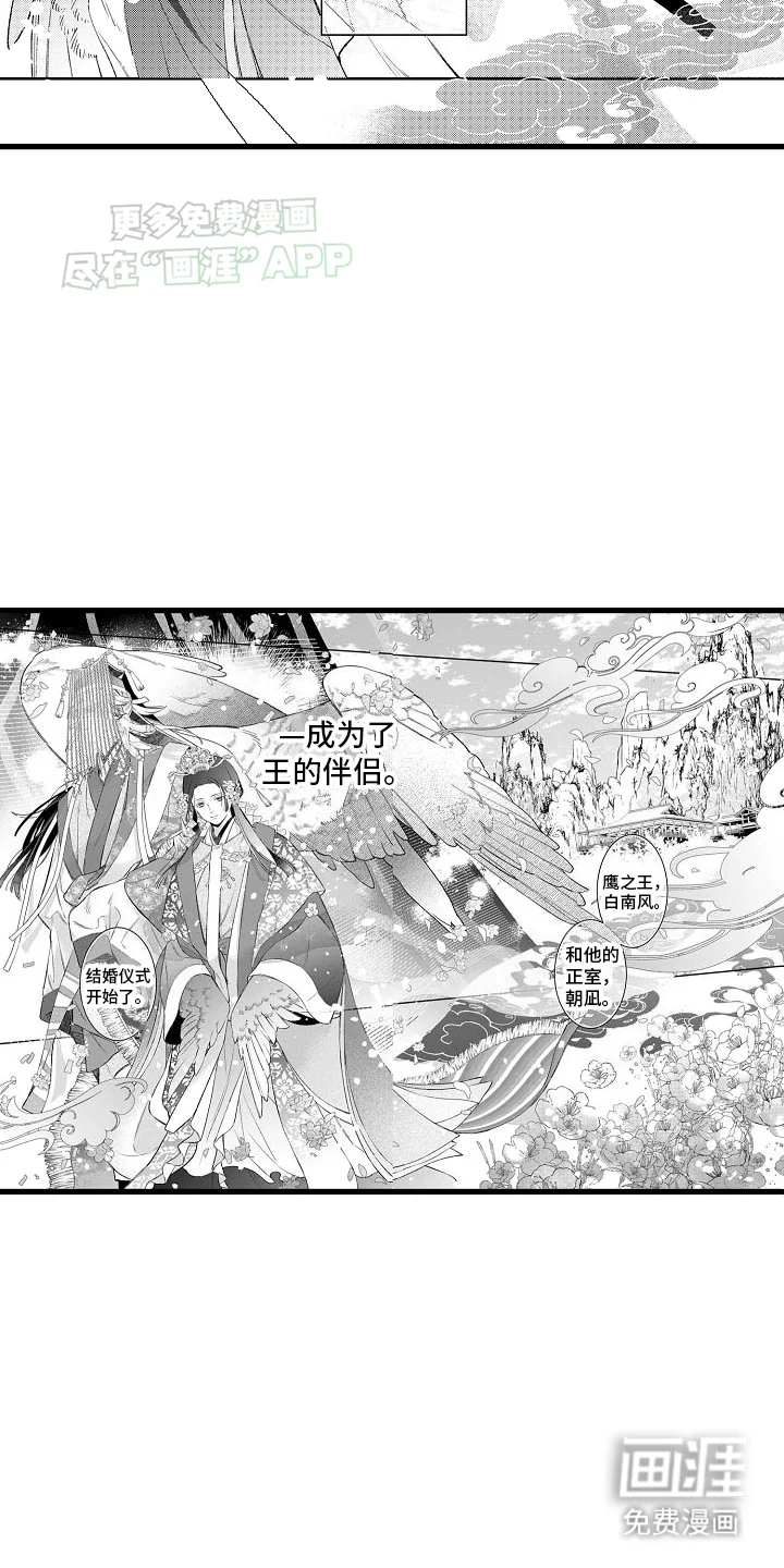 鹰王宠溺 第1章：皇妃 第2页