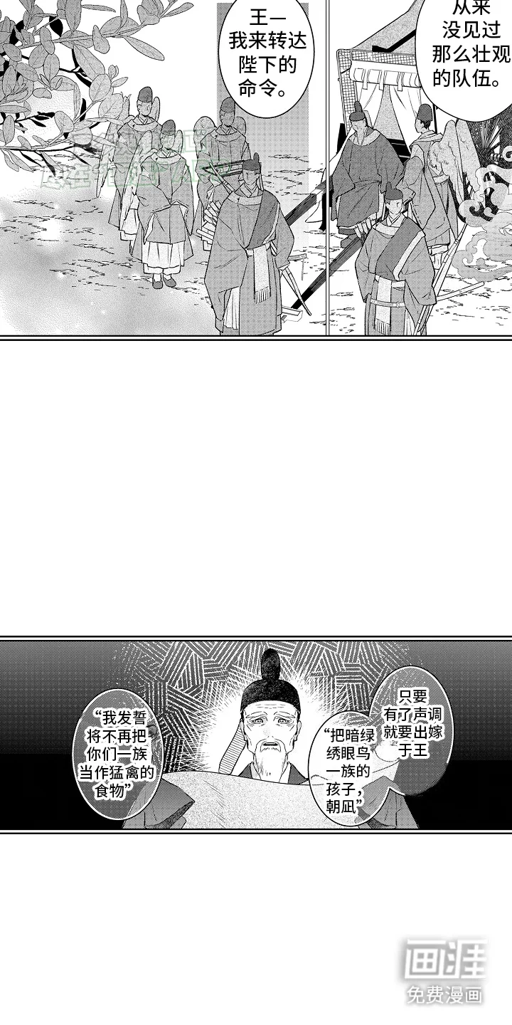 鹰王宠溺 第1章：皇妃 第4页
