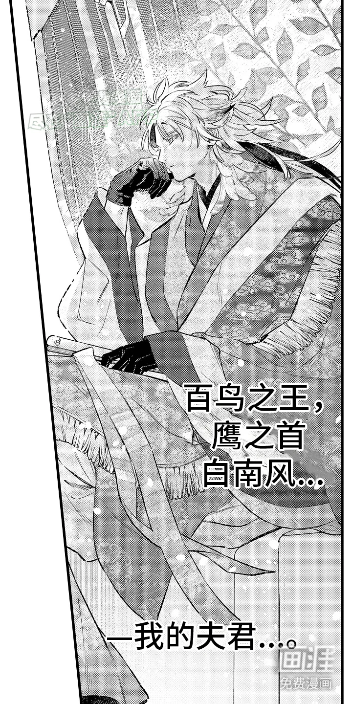 鹰王宠溺 第1章：皇妃 第12页