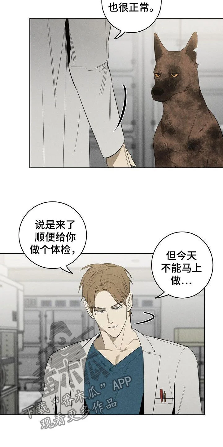 黑犬 第14章：挽回的机会 第2页