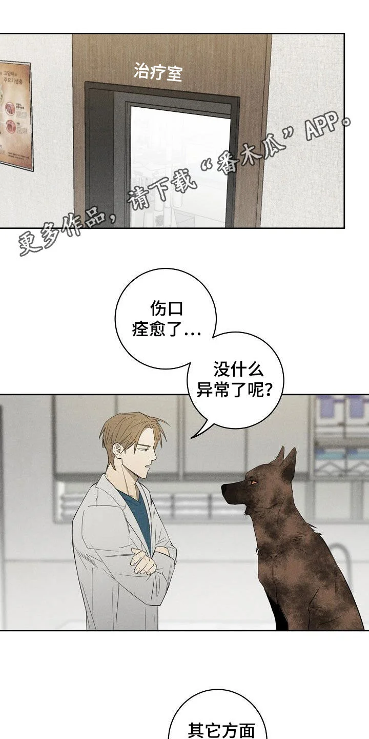 黑犬 第14章：挽回的机会 第1页