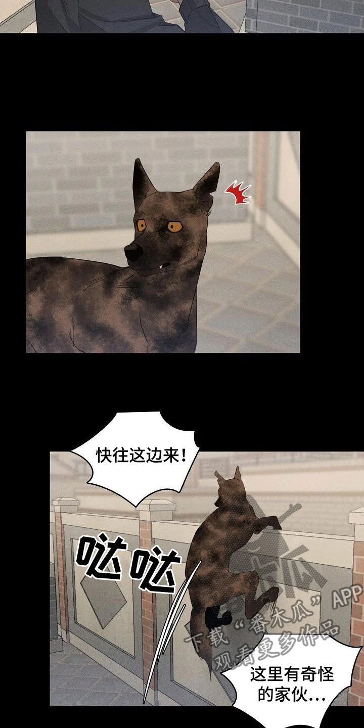 黑犬 第16章：带走 第2页