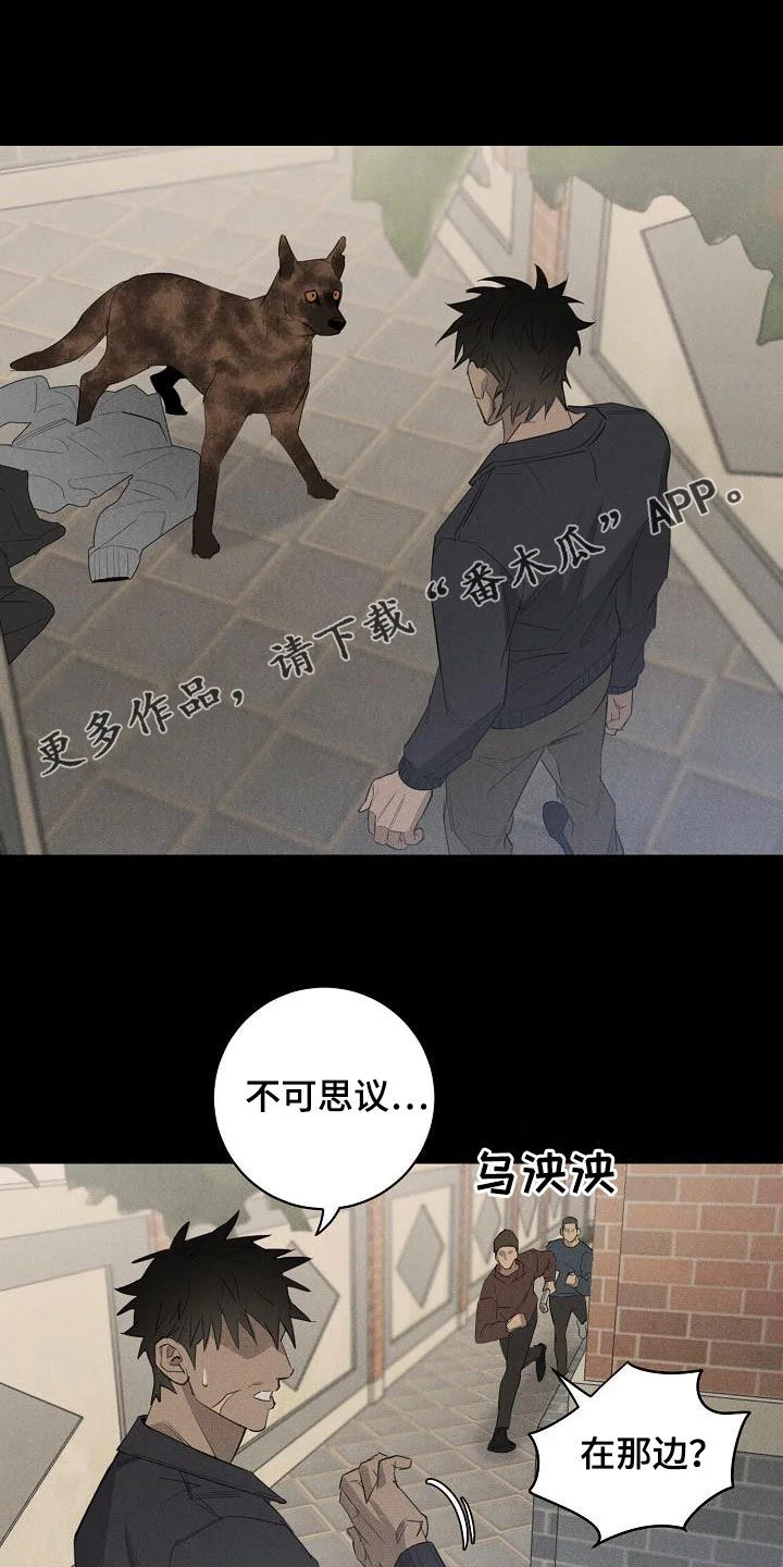 黑犬 第16章：带走 第1页