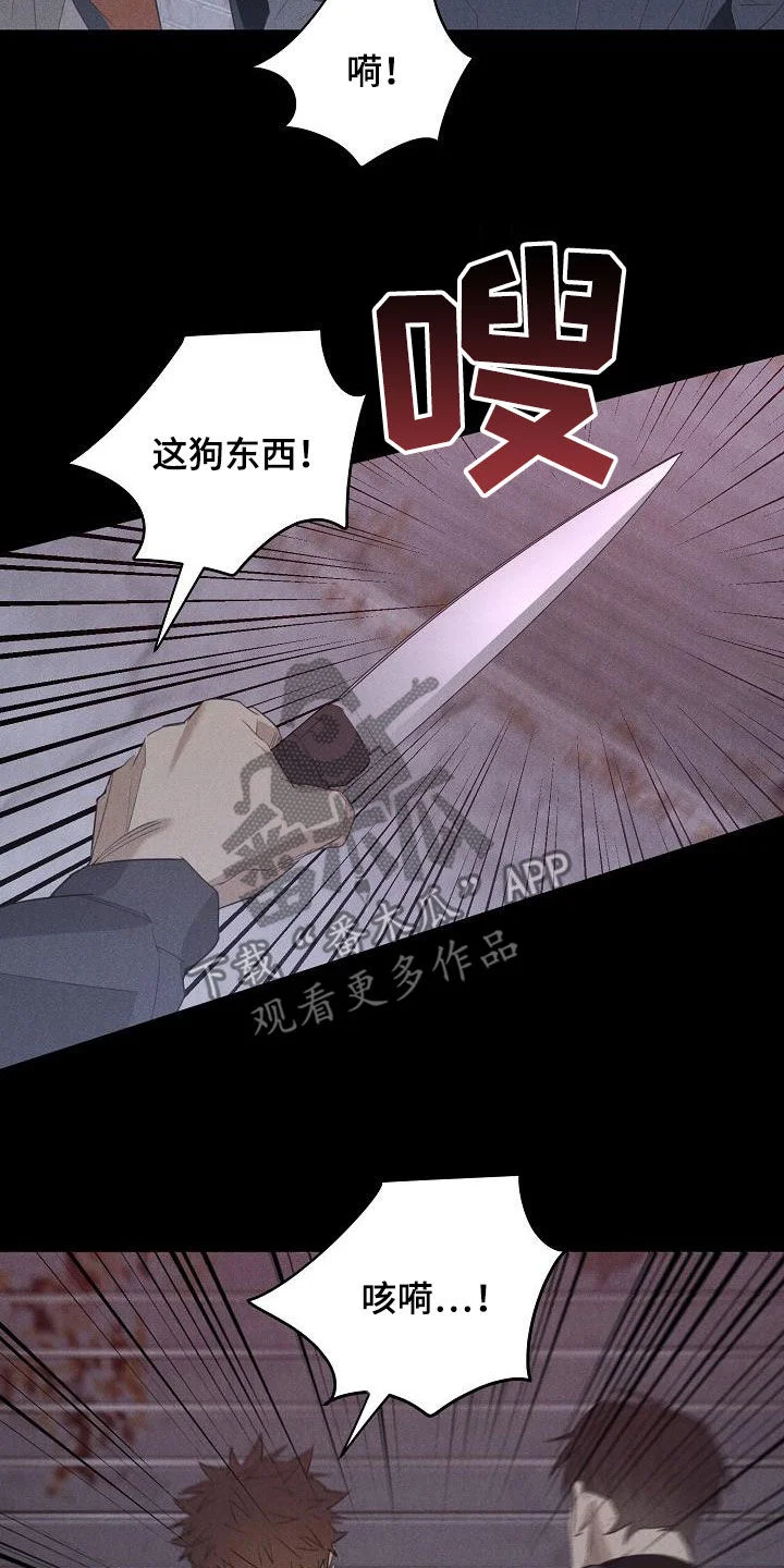 黑犬 第16章：带走 第13页