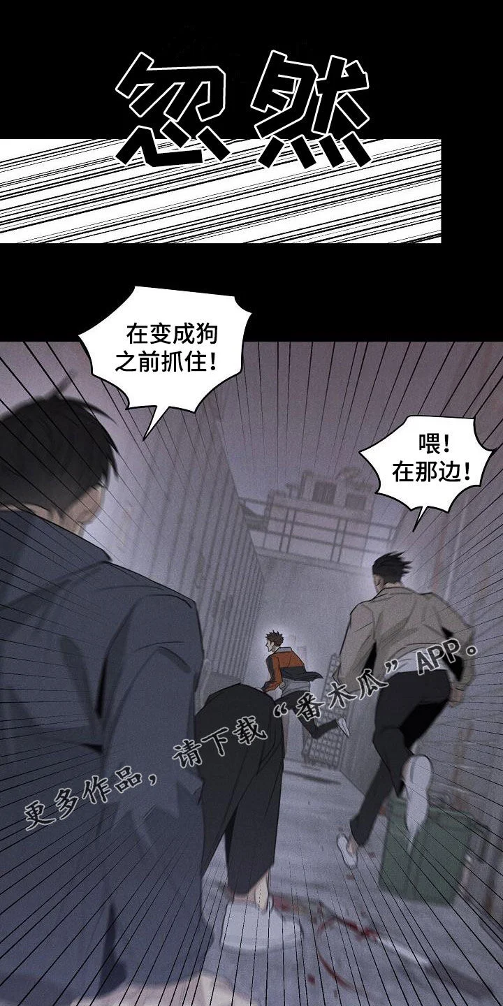 黑犬 第17章：相片 第1页
