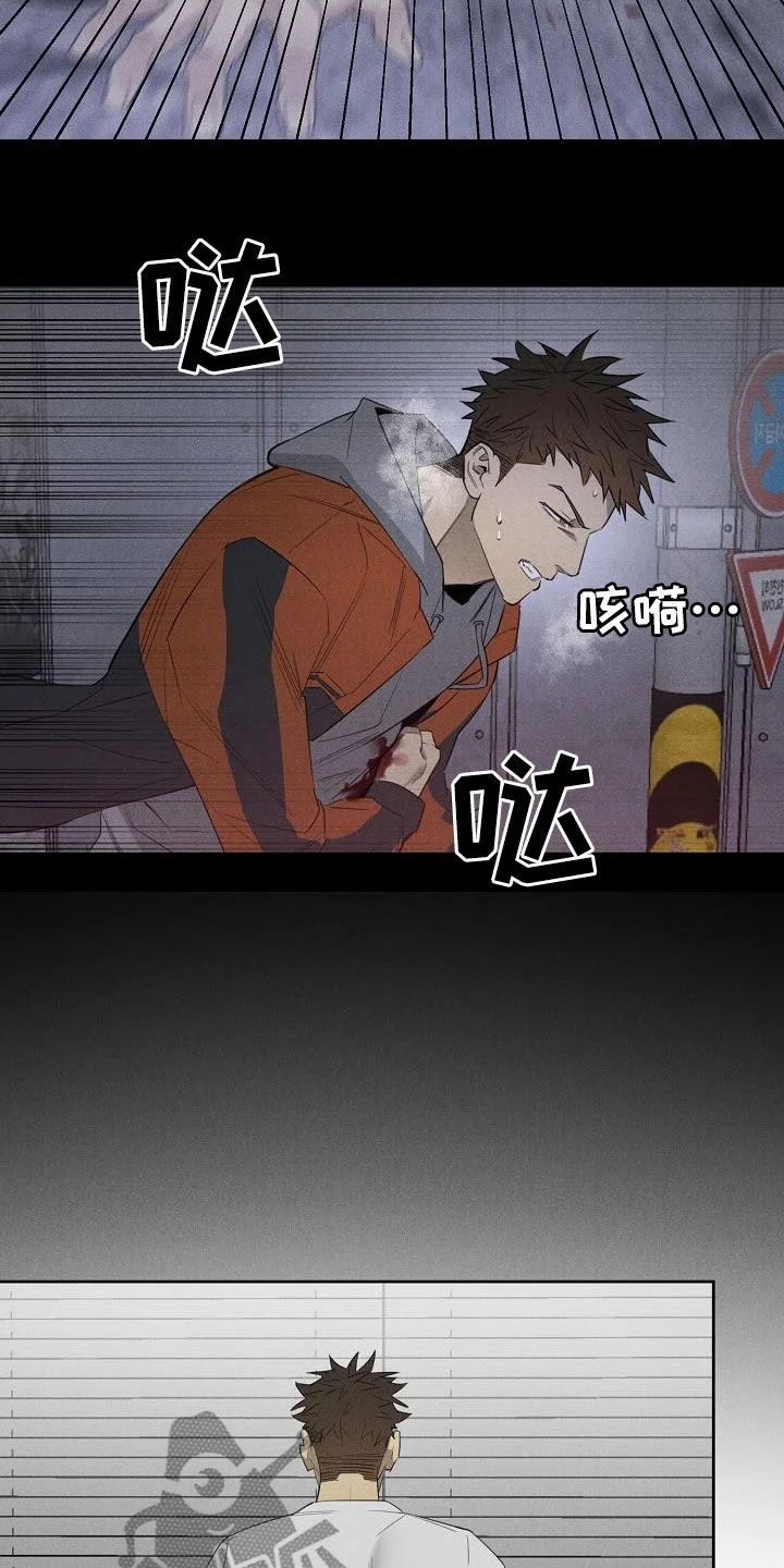 黑犬 第17章：相片 第2页