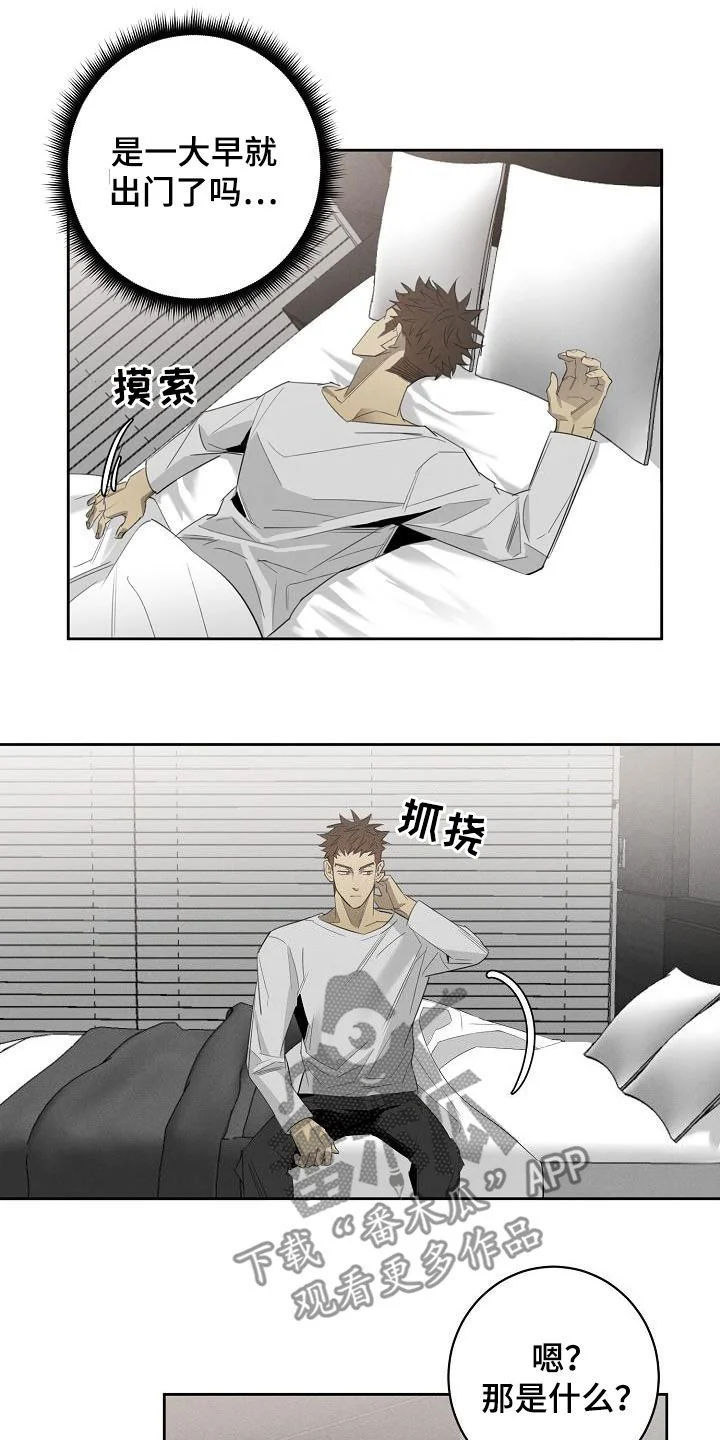 黑犬 第17章：相片 第12页