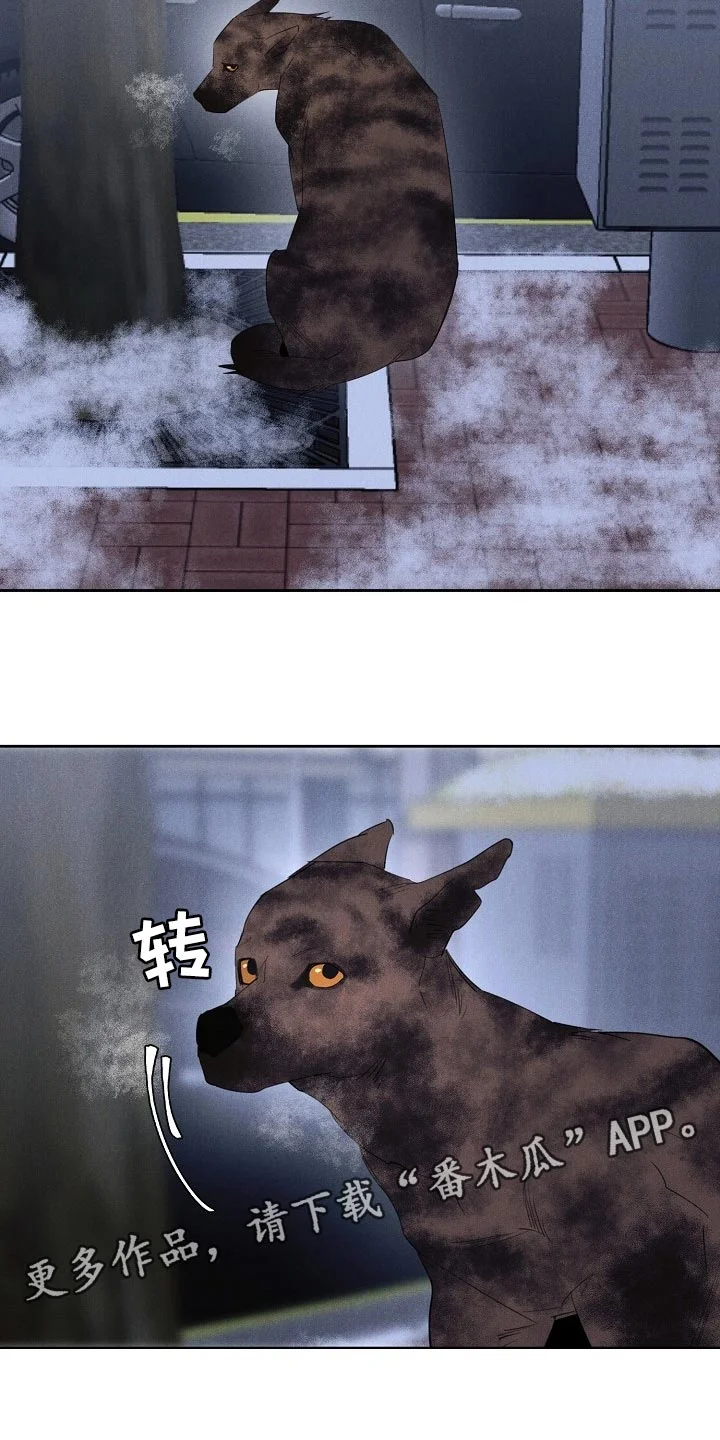 黑犬 第19章：不该接受你的帮助 第16页