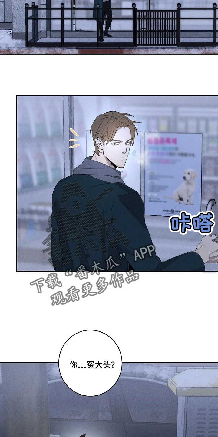 黑犬 第19章：不该接受你的帮助 第15页